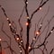 4ft. Pre-Lit Halloween Black Twig Artificial Tree with 180 Orange & Purple LED Lights
